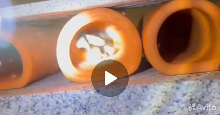 Анциструсы и L-сомы своего разведения