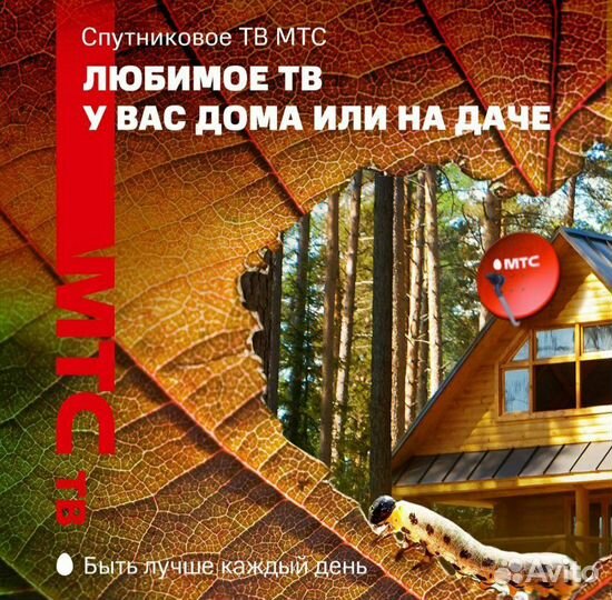 МТС спутниковое тв и Интернет