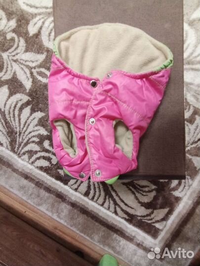 Безркуавка для маленьких собак