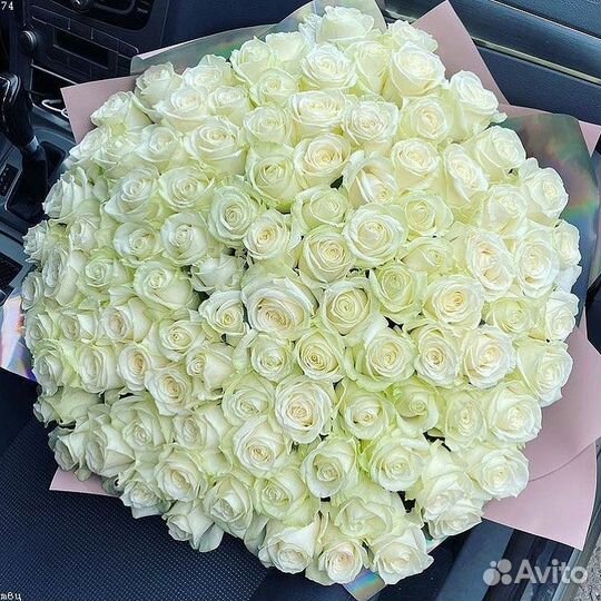 Букет 101 роза 51 роза 35 роз Роз Белые Красные