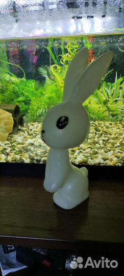 Заяц поздняя СССР