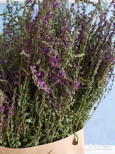 Лекарственные травы,венички для бани