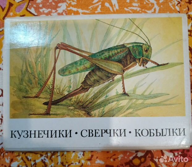 Открытки набор