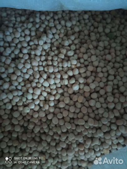 Рожь. Горох. Ячмень