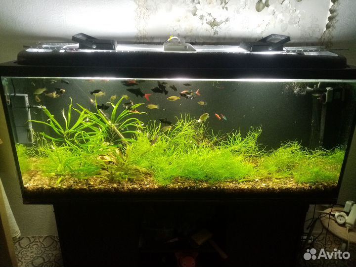 Аквариум 450 литров