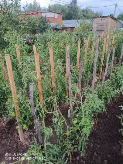 Дача 12 м² на участке 6 сот.