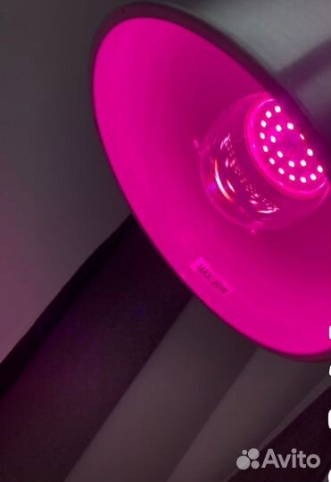 Фито лампа для растений