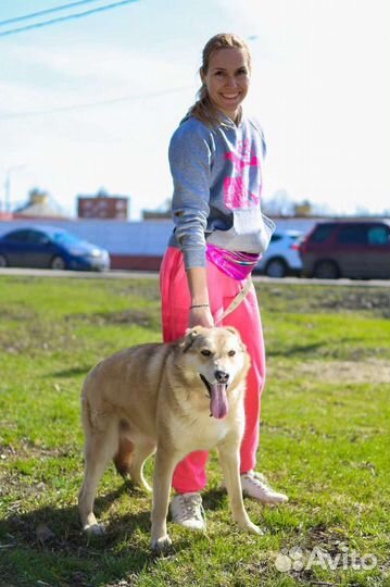 Баунти только и мечтает о хозяине