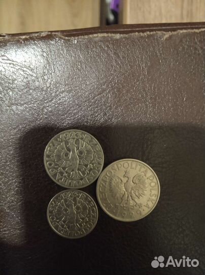 Подборка монет Польши. Злоты