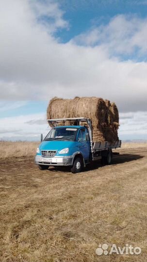 Сено в рулонах