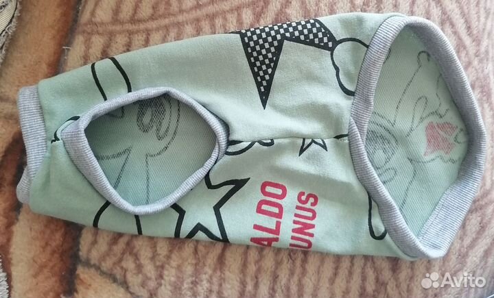 Одежда для кошек сфинкс