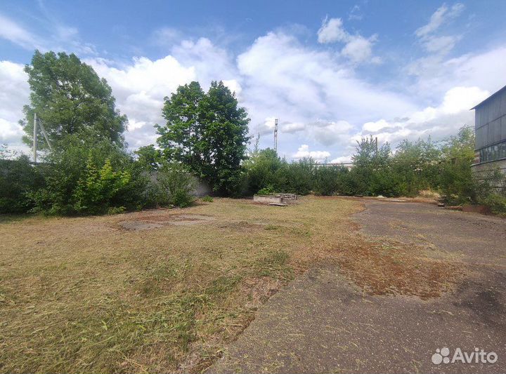 Покос травы