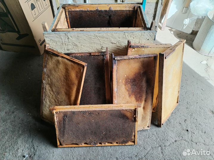 Рамки с сушью рут
