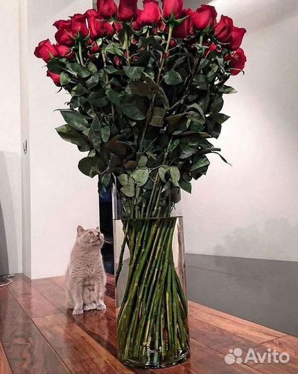 Высокие розы Гигантские розы с доставкой
