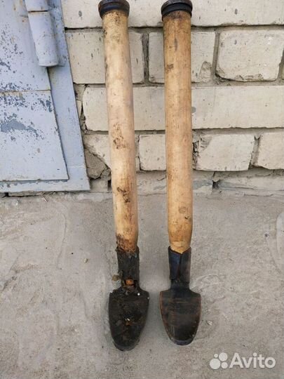 Лапа сапожника раритет