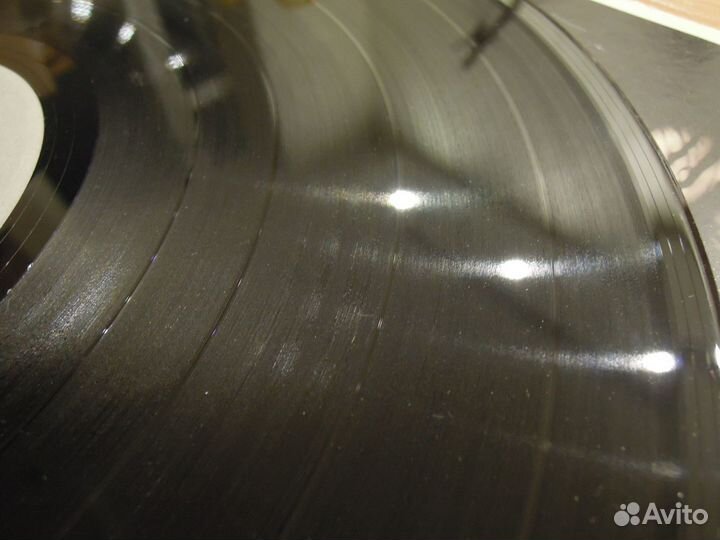 LP White Lion - Fight To Survive USA