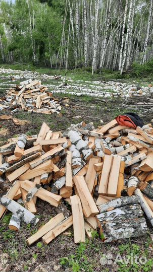 Берёза Колотая с Доставкой