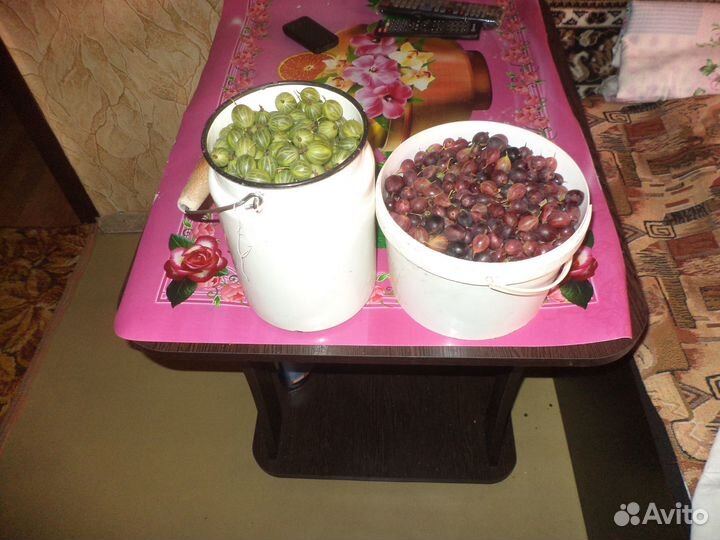 Крыжовник 3 литра