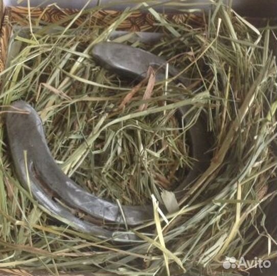 Подарок: настоящая подкова на счастье