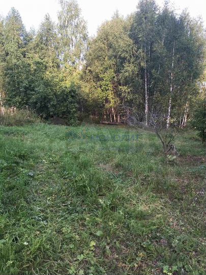 Участок 11,6 сот. (ИЖС)