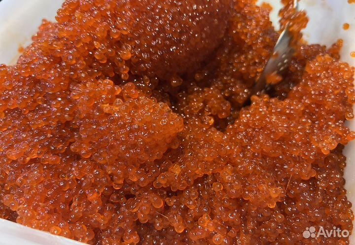 Икра красная горбуши 2023 опт любое количество