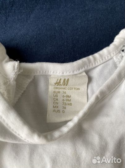 Боди H&M 74 размер