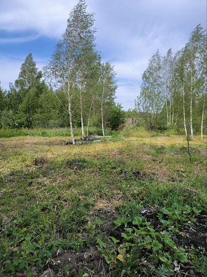 Участок 11 сот. (СНТ, ДНП)