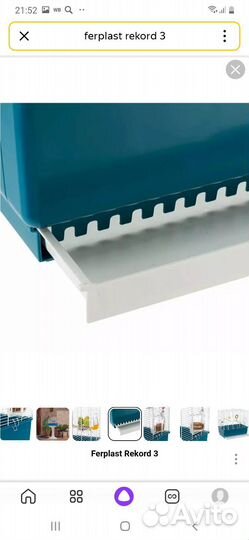 Кенар и Клетка для птиц ferplast