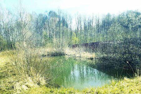 Участок 12 сот. (СНТ, ДНП)