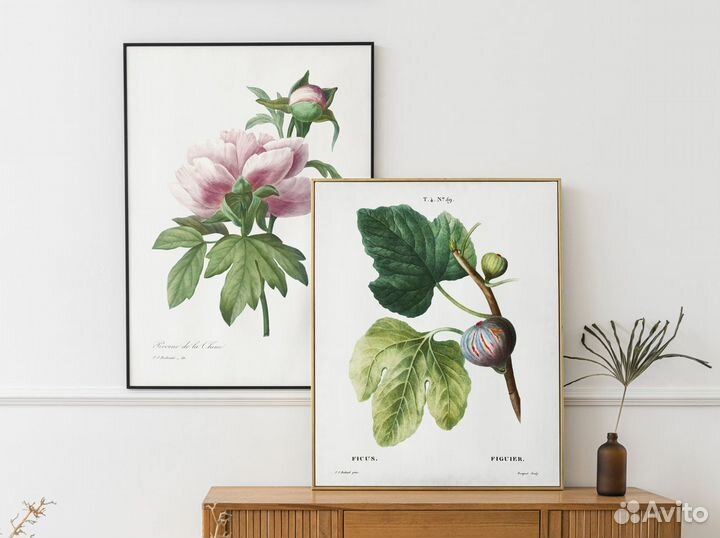 Интерьерные ботанические постеры