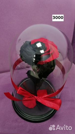 Роза в колбе