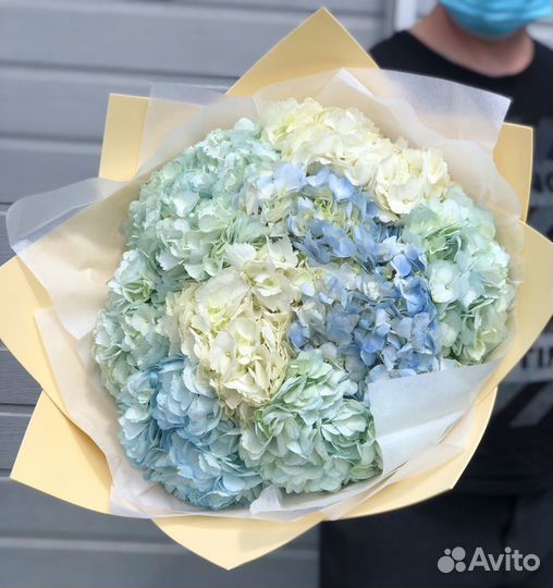 Букет цветов гортензии букет гигант