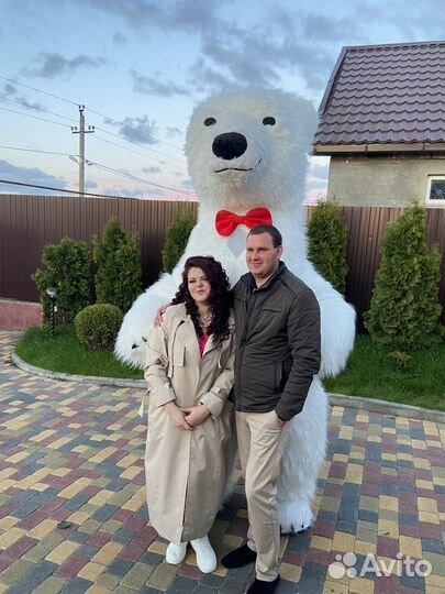 Белый медведь, гендер пати, пупсики на выписку