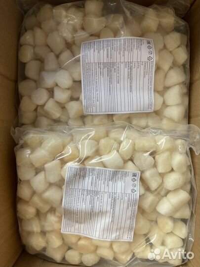 Морской гребешок