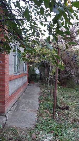 Дом 40 м² на участке 4 сот.