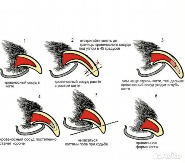 Когтерезка ножницы Artero