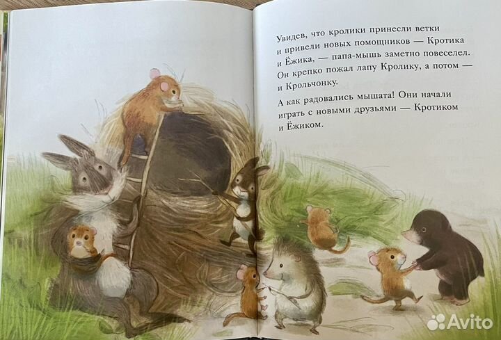 Большой сюрприз для маленького кролика. Книга