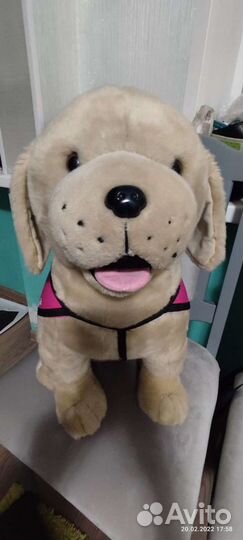 Мягкая игрушка собака лабрадор