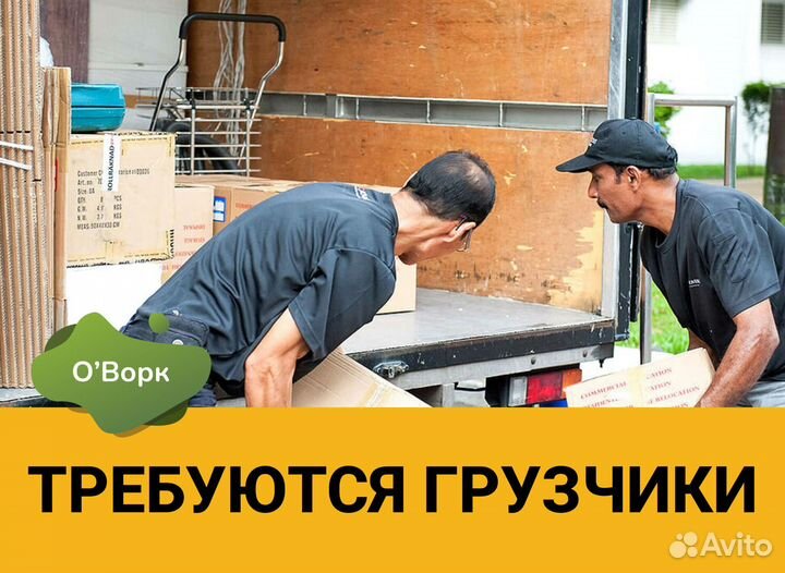 Грузчик свободный график. Код:ai514