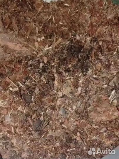 Грунт для ароидных. Агробалт 