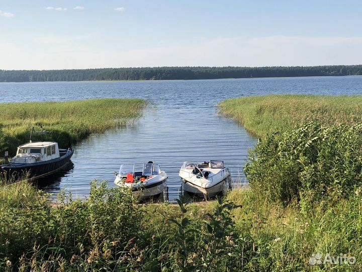 Авторский тур на оз.Селигер на 3 дня