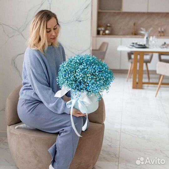 Гипсофила цветная, однотонная. Доставка бесплатно