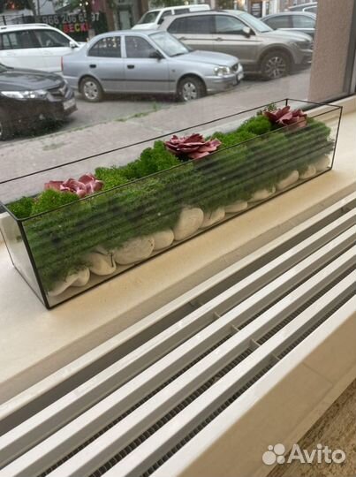 Моссариум в наличии