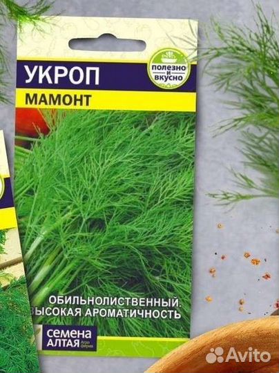 Укроп семена алтая