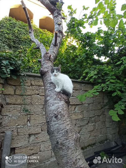 Вот такая малышка осталась