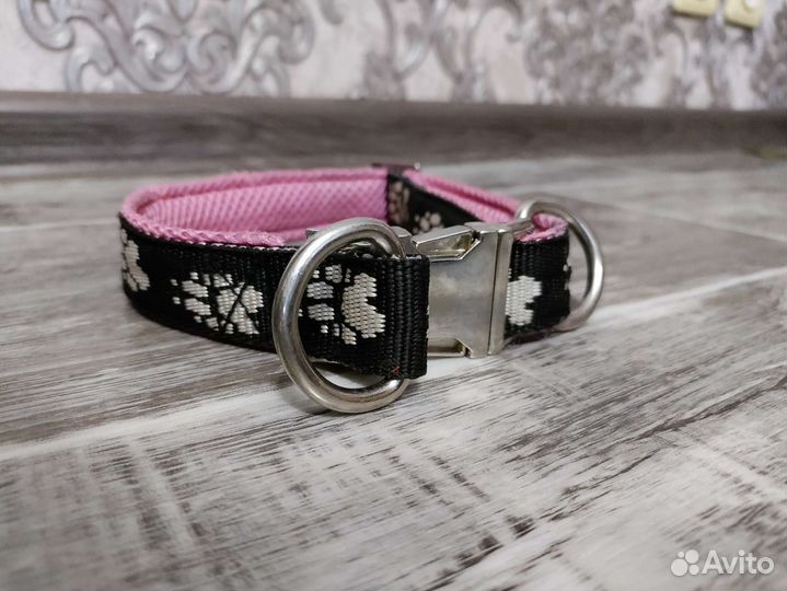 Ошейник + поводок