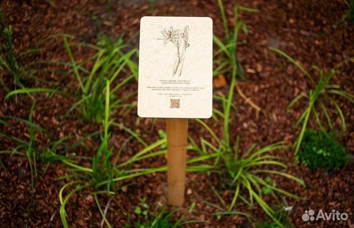 Лазерная гравировальная машина VG-L7 20 Вт, гравер