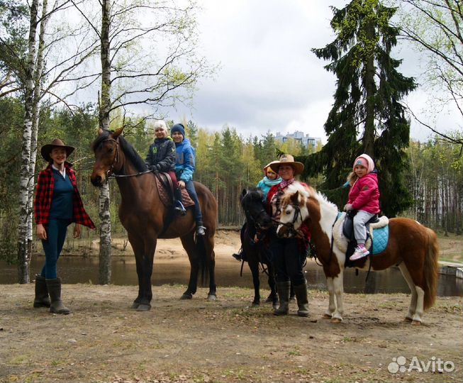Конные прогулки Санкт-Петербург/Сертолово