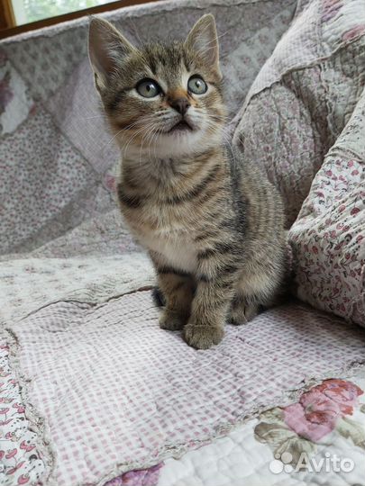 Малышка сделает вас счатливее :)