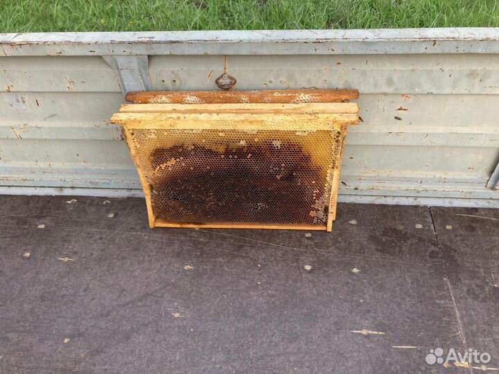 Рамки с сушью